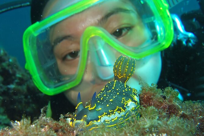 Intro Dive in Dubrovnik - What this Dubrovnik scuba session actually offers