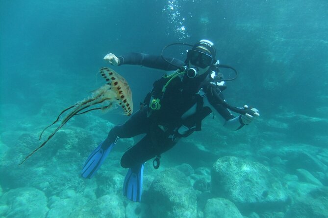 Intro Dive in Dubrovnik - Weather can change your plans