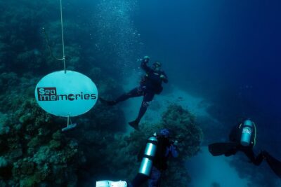 Intro Diving 2 Stops For Beginners with Pick-up and Lunch – Hurghada