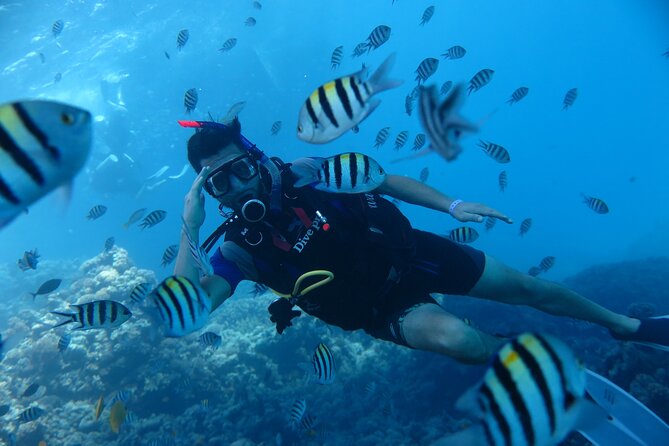 Intro Diving 2 Stops For Beginners with Pick-up and Lunch - Hurghada - Weather, cancellations, and safety