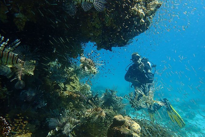 Intro Diving 2 Stops For Beginners with Pick-up and Lunch - Hurghada - Pickup areas and group size