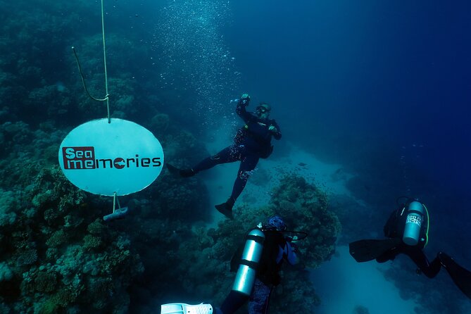 Intro Diving 2 Stops For Beginners with Pick-up and Lunch - Hurghada - Learning the basics before entering the water