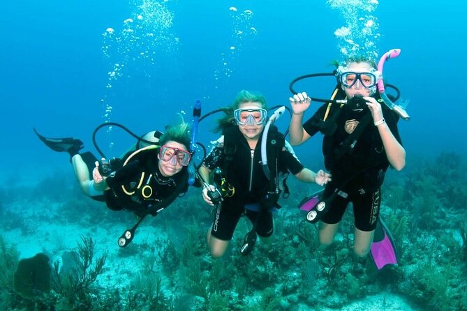 Intro Diving for Beginners 2 Stops Diving with Lunch - Hurghada - A good first taste of scuba near Hurghada