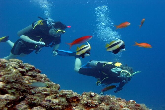 Intro Diving for Beginners 2 Stops Diving with Lunch - Hurghada - Practical details that make the day easier