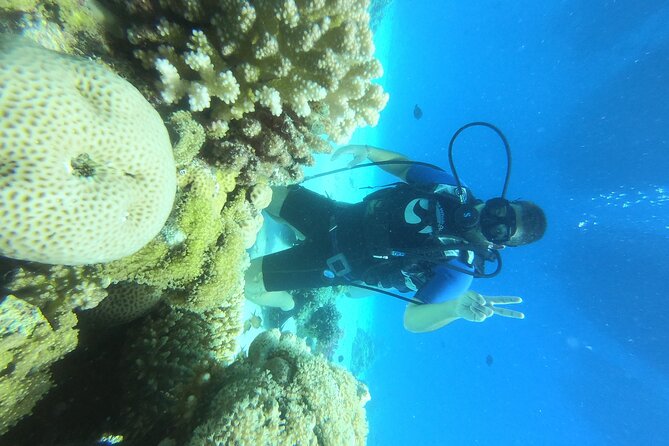 Intro Diving for Beginners in Hurghada with Pick-up and Lunch - Adam’s Friendly, Personal Approach