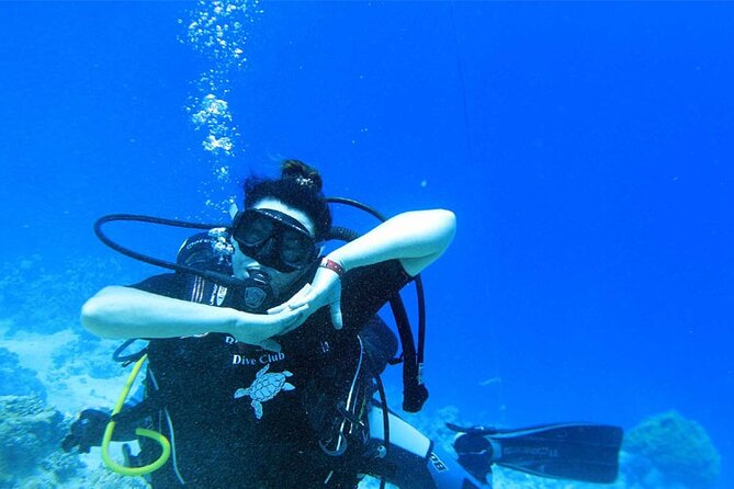 Intro Diving for Beginners in Hurghada with Pick-up and Lunch - What $30 Really Buys You