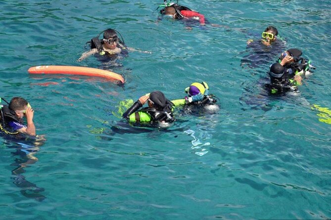 Intro Diving for Beginners in Hurghada with Pick-up and Lunch - Who Will Enjoy This Most