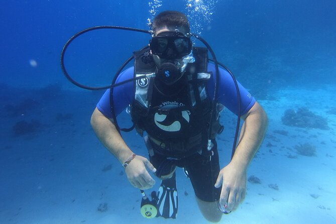 Intro Diving for Beginners in Hurghada with Pick-up and Lunch - What to Bring and Confirm Before Departure