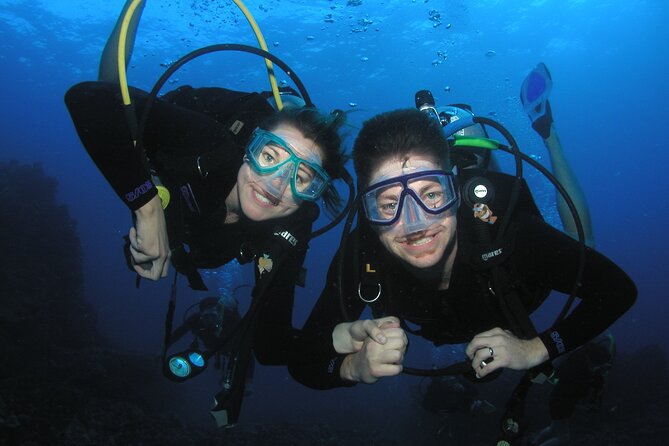 Intro/Refresher Dive Swim Ability Required - Key points to know before you book