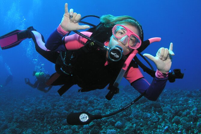 Intro/Refresher Dive Swim Ability Required - Meeting at 65 Kai Ala Drive in Lahaina