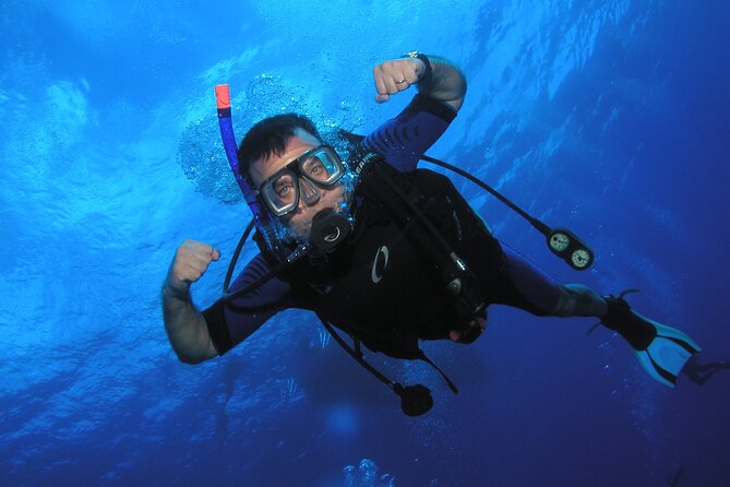 Intro/Refresher Dive Swim Ability Required - Booking, cancellation, and weather planning