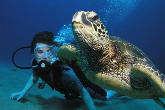 Intro/Refresher Dive Swim Ability Required - A calm start for first-time scuba participants