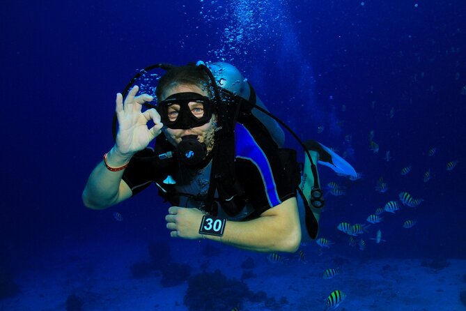 Intro Scuba Diving: 2 Dive Stops With Lunch & transfer - Hurghada - Why this Hurghada boat trip works for beginners