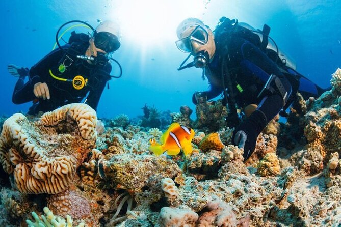 Intro Scuba Diving: 2 Dive Stops With Lunch & transfer - Hurghada - Lunch, drinks, and a welcome pause on board
