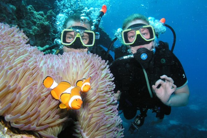 Intro Scuba Diving: 2 Dive Stops With Lunch & transfer - Hurghada - Practical booking advice for Hurghada