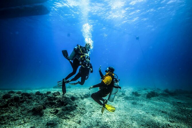 Intro Scuba Diving: 2 Dive Stops With Lunch & transfer - Hurghada - The 8:00 am pickup and ride to the boat