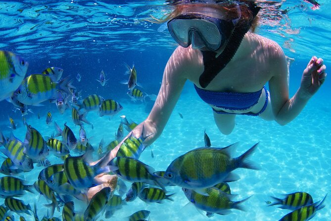 Intro Scuba Diving 2 Stops Trip with Transfers & Lunch - Hurghada - Lunch, snorkeling, and the long break between sessions