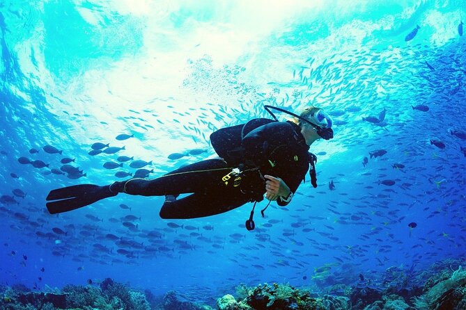 Intro Scuba Diving 2 Stops Trip with Transfers & Lunch - Hurghada - What the $18.05 price really includes