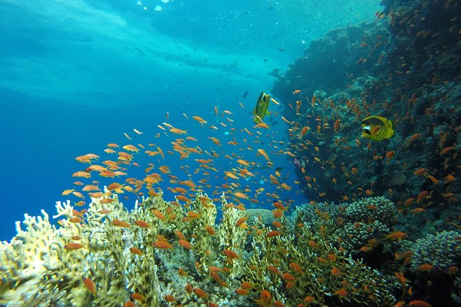 Intro Scuba Diving - The first stop at roughly 6 meters