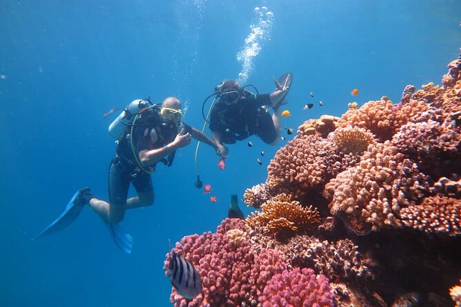 Intro Scuba Diving - Swimming and snorkeling after lunch