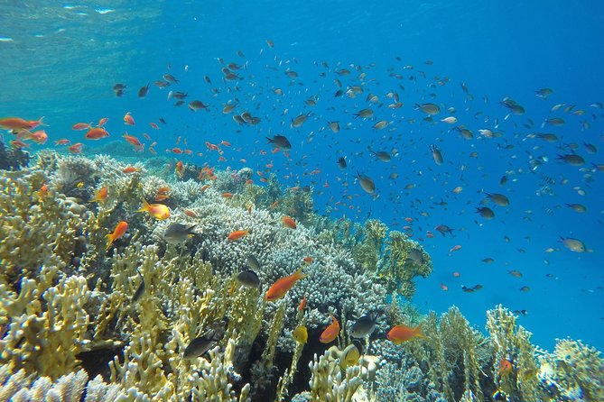 Intro Scuba Diving - Crew service and the human side of the day