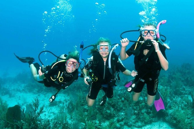 Intro Scuba Diving Beginners Full Day Boat Trip 2 Stops Diving & Lunch– Hurghada - What the Hurghada boat day is really like
