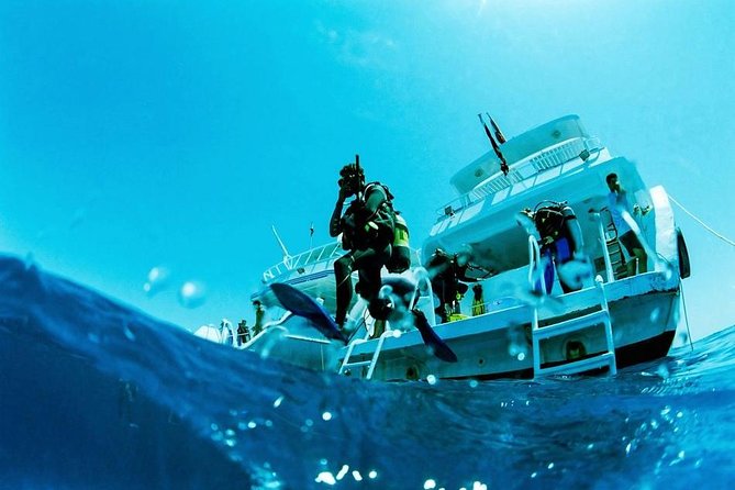 Intro Scuba Diving Beginners Full Day Boat Trip 2 Stops Diving & Lunch– Hurghada - The two Red Sea stops and what you may see