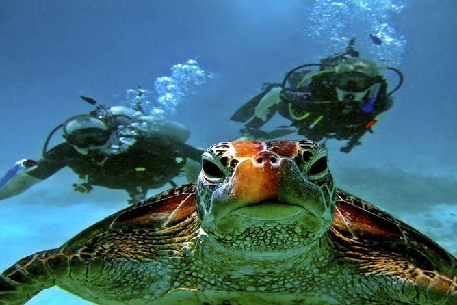 Intro Scuba Diving Beginners Full Day Boat Trip 2 Stops Diving & Lunch– Hurghada - Hotel pickup, added fees, and transfer warnings
