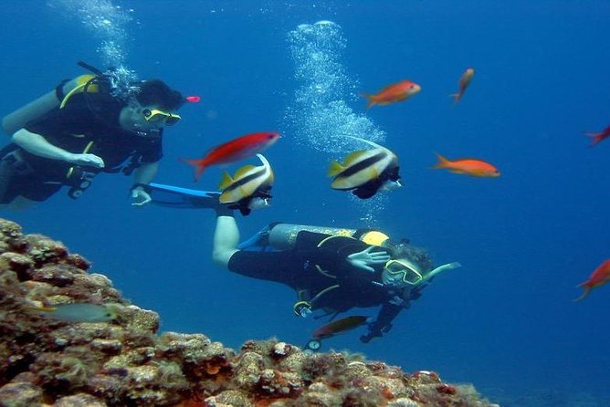 Intro Scuba Diving Beginners Full Day Boat Trip 2 Stops Diving & Lunch– Hurghada - Who will get the most from this experience