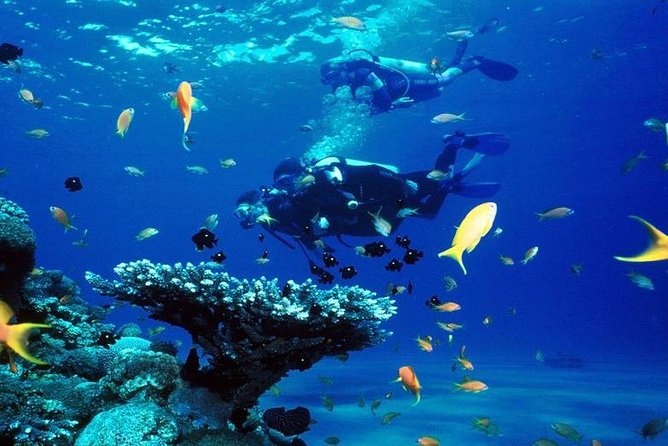 Intro Scuba Diving Beginners Full Day Boat Trip 2 Stops Diving & Lunch– Hurghada - Safety, group size, and the quality of instruction