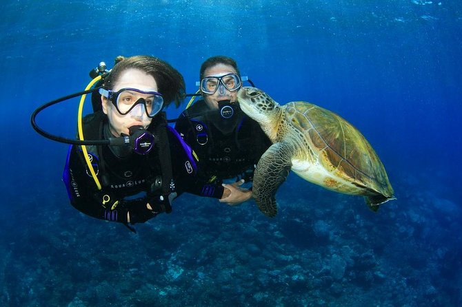 Intro Scuba Diving Experience in Hurghada - At a Glance: What You Get for $24