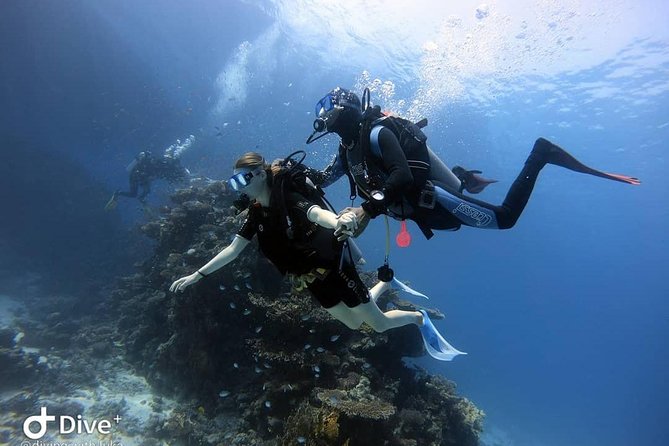 Intro Scuba Diving Experience in Hurghada - Deeper Walls and the Limits of the Advertised Program