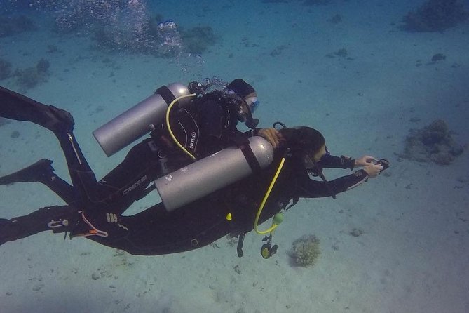 Intro Scuba Diving Experience in Hurghada - Booking Details That Matter Before You Go