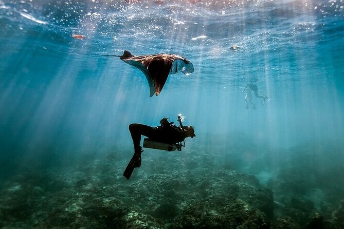 Intro Scuba Diving for beginners With (Lunch,Transfer) – Hurghada - Starting from Hurghada at 8:00 am