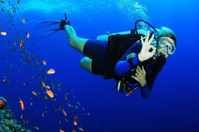 Intro Scuba Diving for beginners With (Lunch,Transfer) – Hurghada - Lunch, sea air, and time on deck