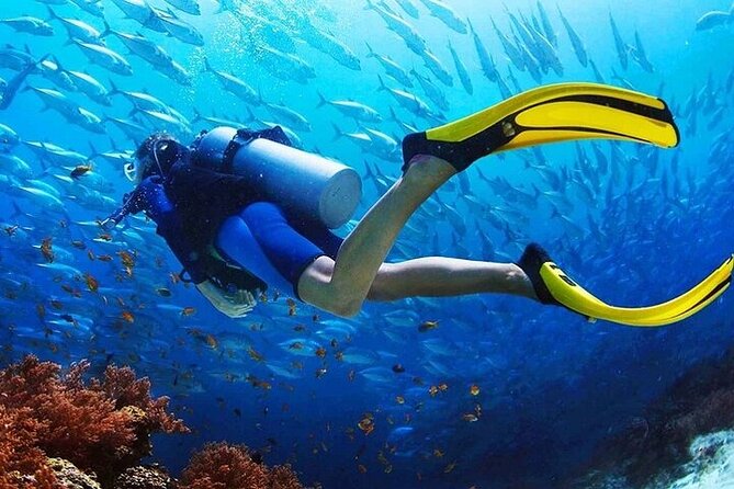 Intro Scuba Diving for beginners With (Lunch,Transfer) – Hurghada - The second underwater session