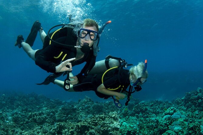 Intro Scuba Diving for beginners With (Lunch,Transfer) – Hurghada - What makes the staff important