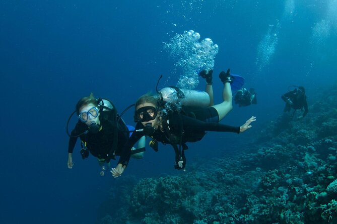 Intro Scuba Diving for beginners With (Lunch,Transfer) – Hurghada - Is $20 good value?