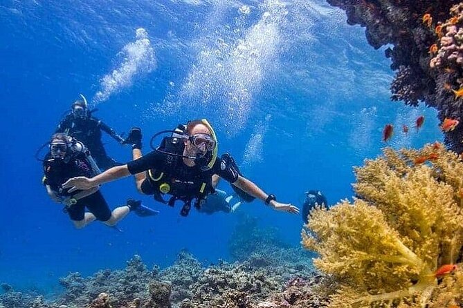 Intro Scuba Diving for beginners With (Lunch,Transfer) – Hurghada - Who should choose this experience?