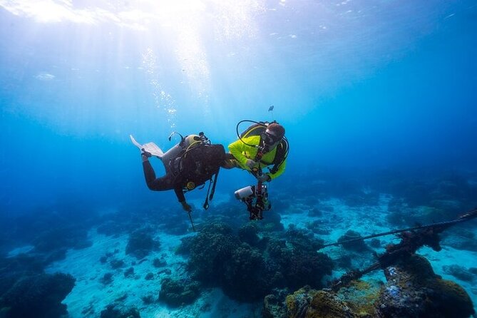 Intro Scuba Diving for beginners With (Lunch,Transfer) – Hurghada - Getting ready for your first Red Sea descent