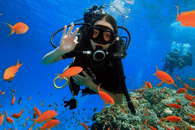 Introduction: Diving from the Reef in Sharm El Sheikh - Key points at a glance