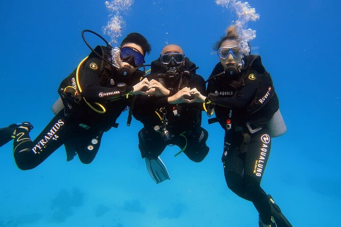Introduction: Diving from the Reef in Sharm El Sheikh - The health check is more than paperwork