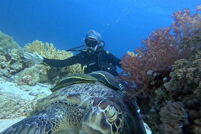 Introduction: Diving from the Reef in Sharm El Sheikh - Who will enjoy this most?
