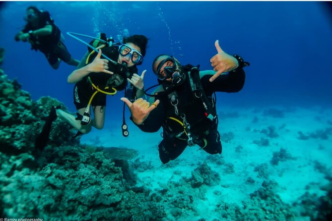 Introduction: Diving from the Reef in Sharm El Sheikh - Meeting the PADI instructor at 8:00 am