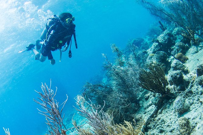 Introduction Shore Dive with Scubaçao (1 dive) - Why this Curaçao introduction works for nervous beginners