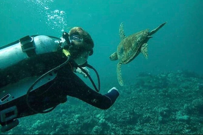 Introductory Beach Scuba Dive - A shore-based format, not a boat trip