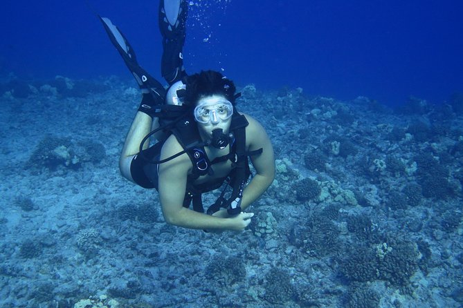 Introductory Beach Scuba Dive - Is the small group worth the cost?