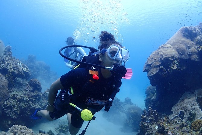Introductory dive for non-certified divers - Key points at a glance