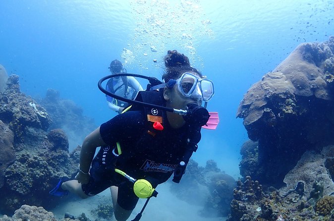 Introductory dive for non-certified divers - Mango Bay, Sail Rock, or another site