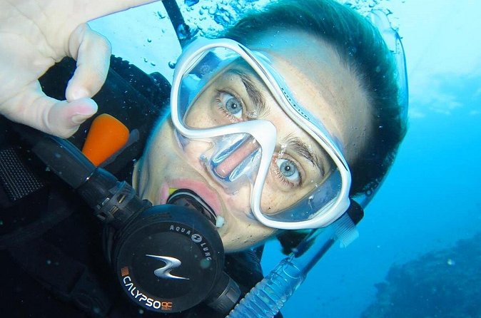 Introductory dive for non-certified divers - Equipment, lunch, drinks, and insurance